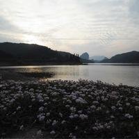 鼓角横吹