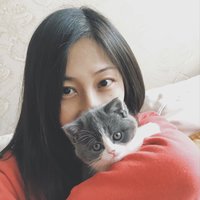 小小小猫猫