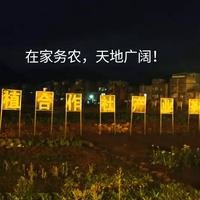 创作者158227061064117