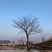 海无涯vx
