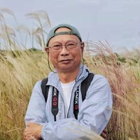 东方微光