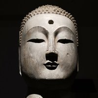 奔腾的小野马22
