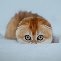 晴空万里便无我