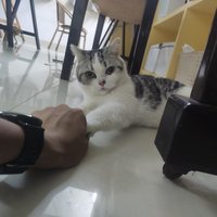 爱拍照的阿伦