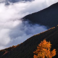 欧文行摄