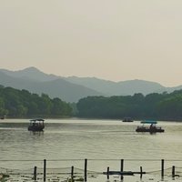 王雨w