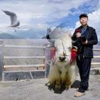 铁铧