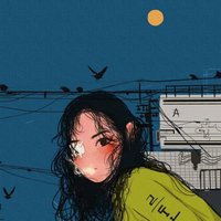 只只55