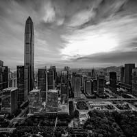 陈志民