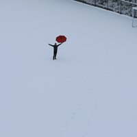 东写