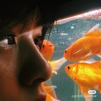 子瑜murphy