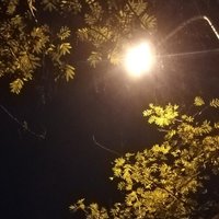 顧39