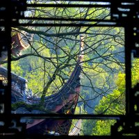 阿关-AG