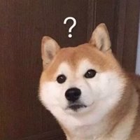 安誠太