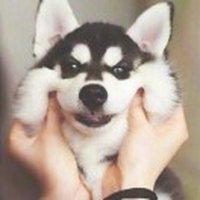 此间依旧少年