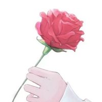 斯文鹏鹏