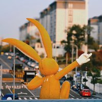 钟尼姑
