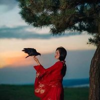 小楼蝶衣