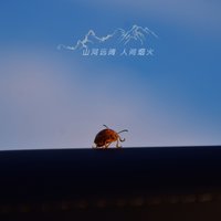 木木和木偶