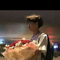 bin摄影