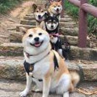 葉彬涯yepyinnyar