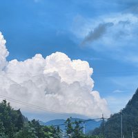 有趣的灵魂454