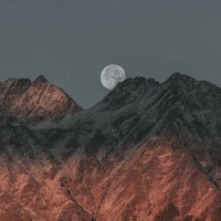 缘溯