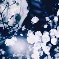 听着歌寻找美好