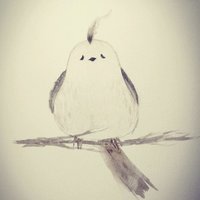 菜菜的懒懒