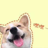 打喷嚏的球球