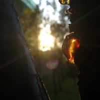 WTWTW