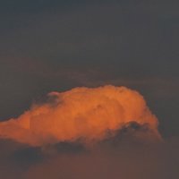 张小朋友223