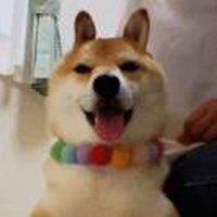 小郑的日常旅行