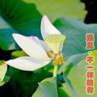 梁庄现峰