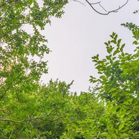 于丸粗面
