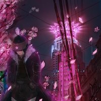 路七君喵