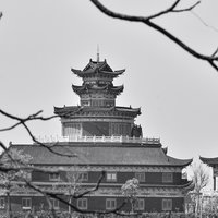 M-崋