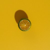 一支胡萝北