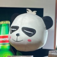 到处游荡的喵