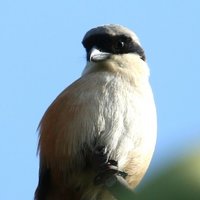 那山那人那谁谁