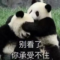 翃PP