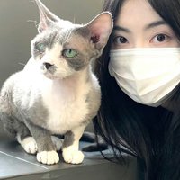 人人和圭圭