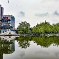 东风洒雨露