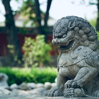 年年618