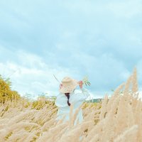 彡叒