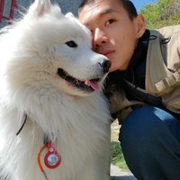 风月安西