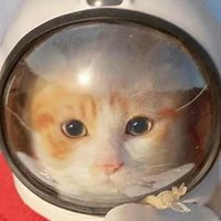 蓝胖子其实并不胖