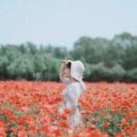 自由摄影师-大左麻麻