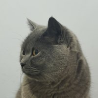 不二1022