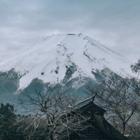 WillingTang